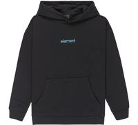 Element Sweat à Capuche Lowcase