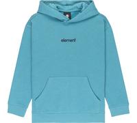 Element Sweat à Capuche Lowcase