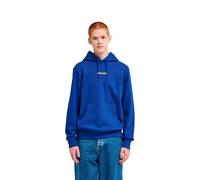Element Sweat à Capuche Lowcase Bp