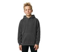 Element Sweat à Capuche Lowcase Pigment