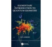 Elementary Introduction to Quantum Geometry by Jan Ambjorn Jan Ambjorn (Auteur)