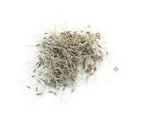 Éléments de limitation du courant 1000Pcs 1/4W 2 Ohm 5% Tolérance axia-l Lead Through Hole Montage 4 Couleur Anneau Carbone Film Résistance Fixe 6mm x 2mm (1000Pcs 1/4W 2 Ohm 5% Tolérance axia-l Lead