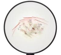 Éléments de limitation du courant 13valuesx10PCS = 130PCS 0.5W Régulateur 9.1V-33V 1/2w Zener Diode Composant Assortiment de kit