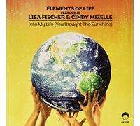 Elements of Life - Into My Life Vega Remixes [Import]