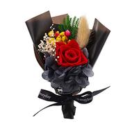 ELEOUTI Bouquet de Fleurs Éternelles Préservées pour Saint-Valentin, Décoration Unique Fleurs Immortelles, Jamais Fanées, Présent Romantique