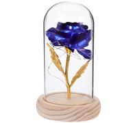ELEOUTI Dôme en Verre avec Rose Éternelle Bleue et Éclairage LED Décoratif à Faible Consommation, Décoration de Fleur Stabilisée pour Présent Fête des Mères