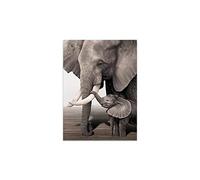 Éléphant bébé Éléphant Animal Entrée Impressions et Affiche Noir et Blanc Toile Art Photo pour Salon Mur Décoratif 50x70 cm sans Cadre