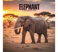 Elephant Calendar 2026: Annual Organizer with U.S. Holidays • Safari Views & Note Space • Square 8.5x8.5