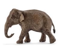 Eléphant d’Asie, femelle (bundle)