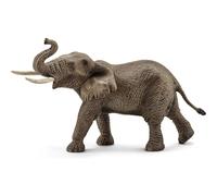 Éléphant d'afrique mâle