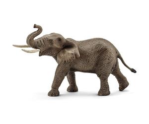 Éléphant d'afrique mâle