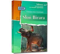 Éléphant de Birara