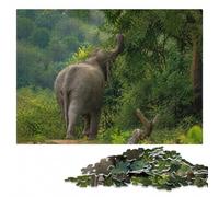 Elephant Eating Leaves from A Tree Puzzle pour Adultes 500 pièces | Cadeau pour amateur de puzzle: loisir calme d'intérieur pour adulte en intérieur.