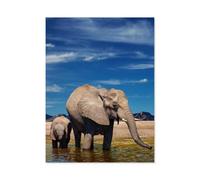 Éléphant et Son Petit dans l'eau，Puzzles pour Adultes Puzzle de 1000 pièces pour Enfants Jouets en Bois（75x50cm）-N37