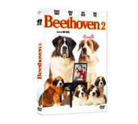 Elephant – Beethoven 2