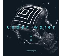 Elephant Gym - Underwater