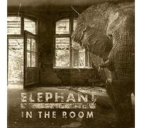Éléphant in the Room