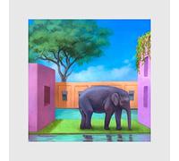 Various Artists – Elephant in the Room – CD – Import
