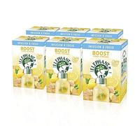 Elephant, Infusion à Froid, Goût Citron et Jasmin, Boisson d'Eté Rafraichissante, Ingrédients d'Origine 100% Naturelle, Boost, 6x15 Sachets Pyramid, 90 Sachets