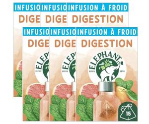 Elephant, Infusion à Froid Digestion, Eau Froide Aromatisée, Parfums Naturels Pamplemousse Menthe, Lot de 6 x 15 Sachets Individuels, 90 Sachets Pyramid