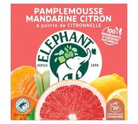 Elephant Infusion Aromatisée Pamplemousse Mandarine Citron, 20 Sachets