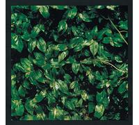 Elephant Kashimashi - Kokoro Ni Hana Wo [Vinyl LP]