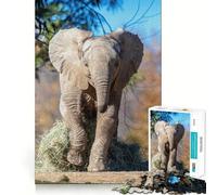 Éléphant Qui Court k Zoopar Puzzle de 1000 pièces pour Adolescents Stimulation de la mémoire, Calme et évasion Motif à Assembler Surprise chaleureuse (38x26cm)