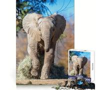 Éléphant Qui Court k Zoopar Puzzle de 1000 pièces pour Adolescents Stimulation de la mémoire, Calme et évasion Motif à Assembler Surprise chaleureuse (38x26cm)