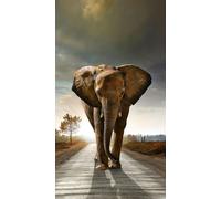 Elephant, Rideau Imprimé 140x245 Cm, 1 Part - Enfants