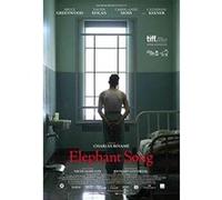 ELEPHANT SONG-FR G