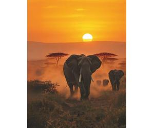 Elephant Sunset Safari Sketchbook: 120 Blank Pages for Drawing, Journaling, and Creative Ideas: Large 8.5 x 11 with African Wildlife Cover - Perfect for Artists, Kids, Teens & Nature Lovers