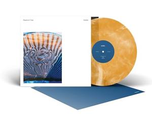 Elephant tree - Habits