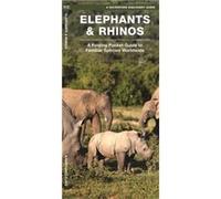 Elephants amp Rhinos A Folding Pocket Guide to the Status of Familiar Species by Illustrated by Dr Raymond Leung James Kavanagh Illustrated by Dr Raymond Leung James Kavanagh (Auteur)
