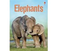 Elephants by James Maclaine James Maclaine, John Francis (Auteur)