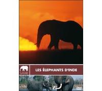 Eléphants d'Inde - Collection safari E