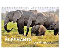 Éléphants en Afrique (Calendrier mural 2027 DIN A4 vertical), CALVENDO calendrier mensuel: Les éléphants d'Afrique sont imposants et puissants à la fois, mais parfois aussi affectueux et attentionnés.