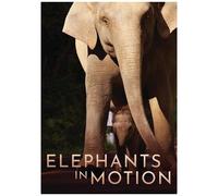 Elephants In Motion [Digital Video Disc]