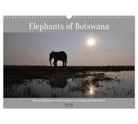 Elephants of Botswana (Wall Calendar 2026 DIN A3 landscape), CALVENDO 12 Month Wall Calendar: African elephants in their natural habitat