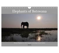 Elephants of Botswana (Wall Calendar 2026 DIN A4 landscape), CALVENDO 12 Month Wall Calendar: African elephants in their natural habitat