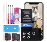 ElephantStory Batterie pour iPhone XS, 6500 mAh Haute Capacité Batterie de Remplacement avec Guide et Tous Les Outils de Réparation
