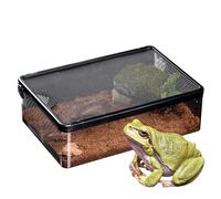 Élevage de reptiles | Terrarium à couver transparent ventilé de 22 x 32 x 10 cm, étui transparent anti-fuite pour habitat d'animaux de compagnie pour coléoptères, araignées, scorpions, grillons et PE