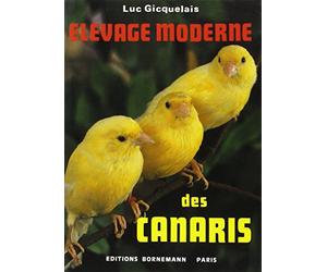 Elevage moderne des canaris