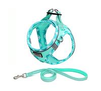 Elevant Harnais Chien, Step-in Harnais pour Chiens avec Laisse, Réfléchissant Respirant Mesh Doux Confort Réglable Gilet Harnais pour Petite Chiens Chats pour Marcher Courir Formation (S, Vert Clair)