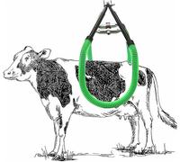Élévateur de hanche de vache, dispositif d'élévation de bétail robuste, manipulation stable du bétail pour la ferme, capacité de charge 1500 kg