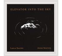Elevator Into The Sky