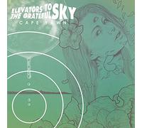 Cape Yawn – Elevators to the Grateful Sky – Vinyle 12" analogique