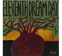 Eleventh Dream Day - Beet