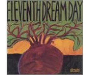 Eleventh Dream Day - Beet