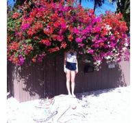 Elf Power - Sunlight On The Moon [Cd]