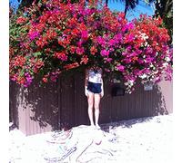 Elf Power - Sunlight on The Moon [Import]